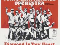 Diamond In Your Heart／東京スカパラダイスオーケストラ
